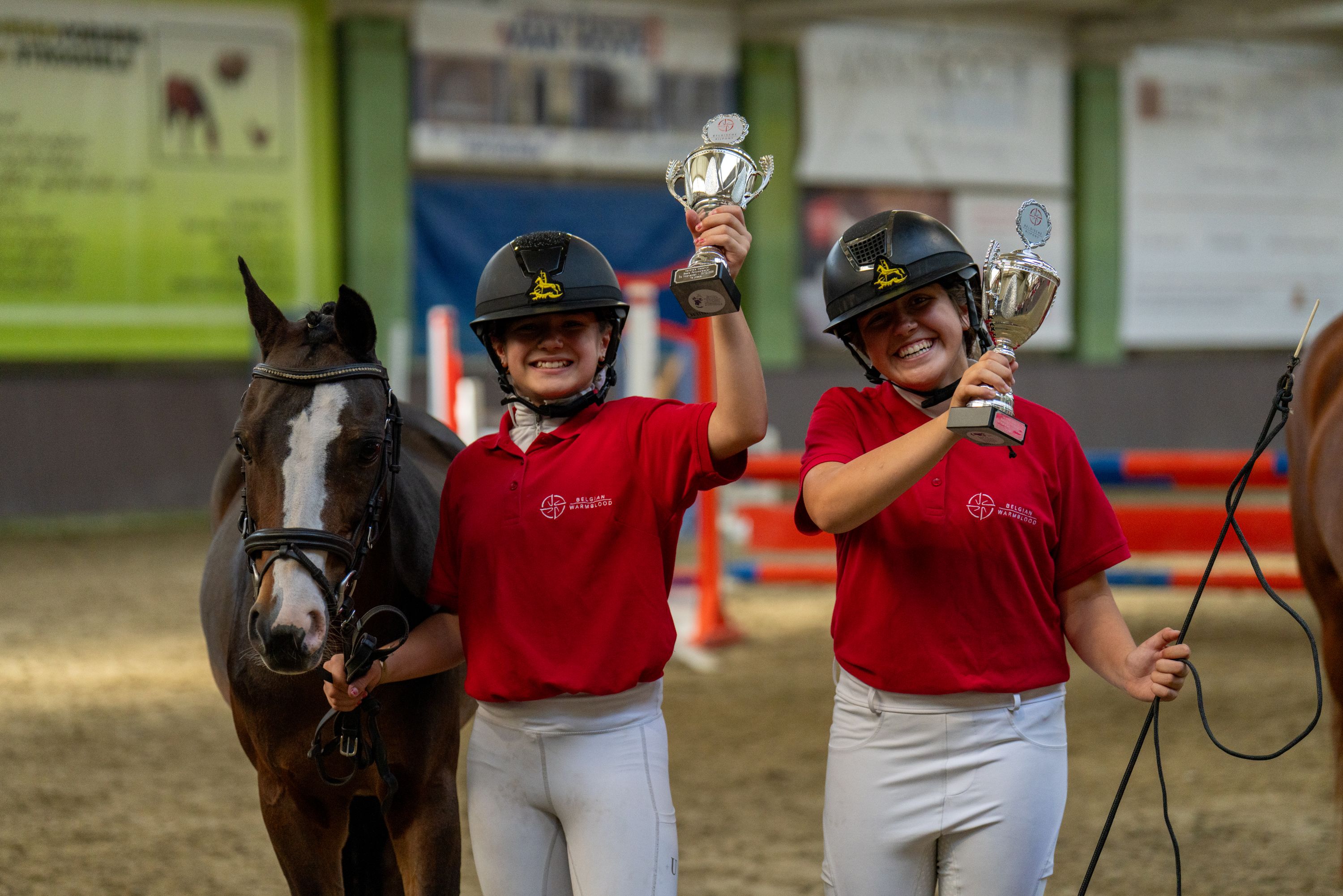 beste ponyvoorstellers