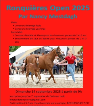 Haras de Ronquières 