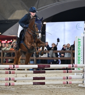 Bestgaande rijpony Mechelen