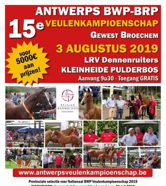 Antwerps Veulen Kampioenschap Antwerps Veulen Kampioenschap