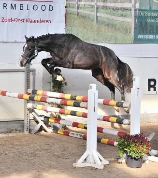 Eerste oefennamiddag vrijspringen BWP Zuid-Oost-Vlaanderen Eerste oefennamiddag vrijspringen BWP Zuid-Oost-Vlaanderen