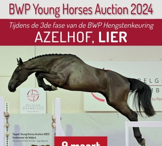BWP Young Horses Auction