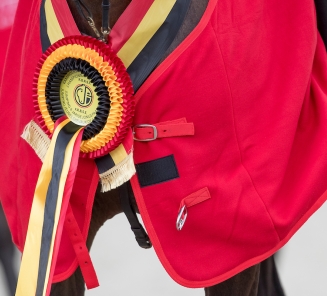 bwp paard detail