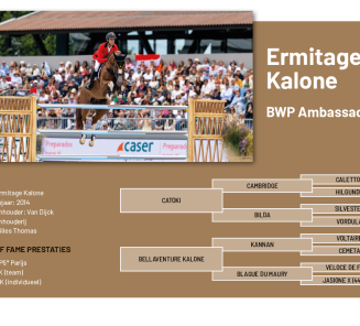 Hall of fame - ermitage.png