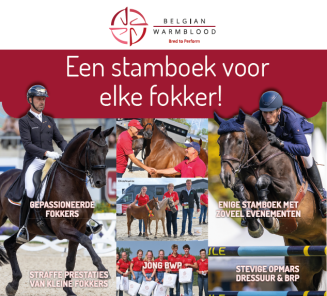 lidmaatschap