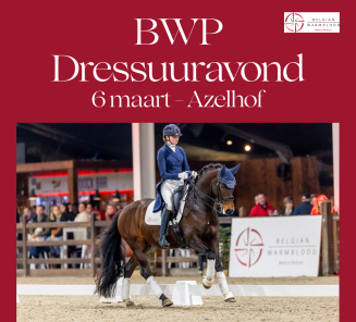 Dressuuravond