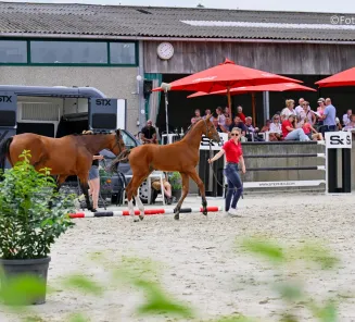 BWP Wambeek